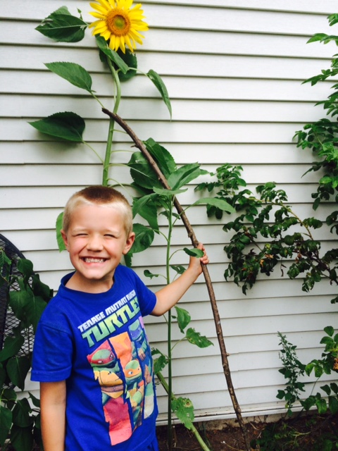 Grown from a seed he received last March at Kindergarten round up. He has cared for this thing from Red Solo Cup to this!!